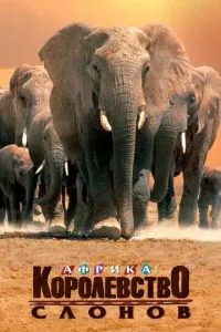 Африка - королевство слонов смотреть