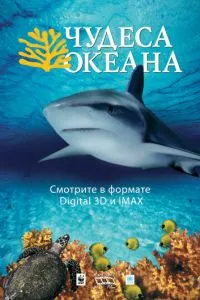 Чудеса океана 3D смотреть