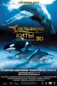 Дельфины и киты 3D смотреть