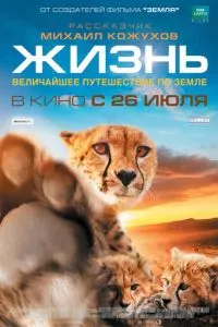 Жизнь (2011) 