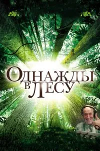 Однажды в лесу (2013) 