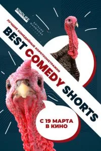 Best Comedy Shorts смотреть